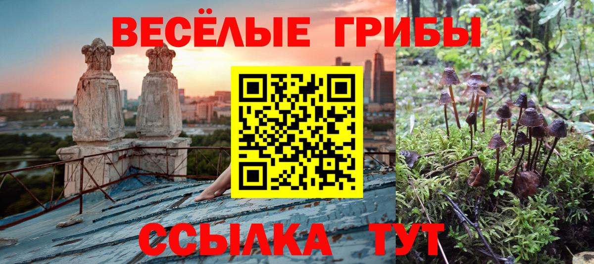 Галлюциногенные грибы прущие грибы  Вход с VPN  Донецк 