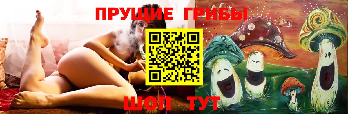 Псилоцибиновые грибы мицелий  Галлюциногенные грибы MAGIC MUSHROOMS  Донецк 